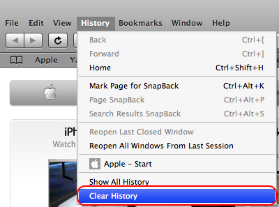 Safari 3: History -> Clear History
